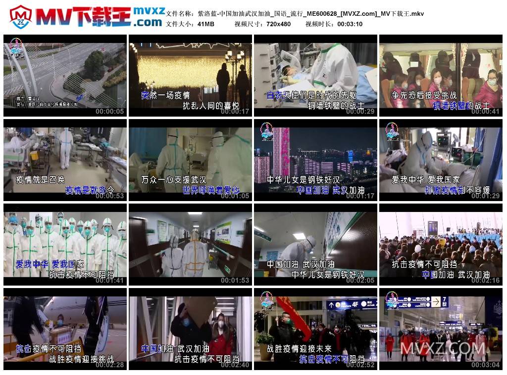 紫洛蓝-中国加油武汉加油_国语_流行_ME600628